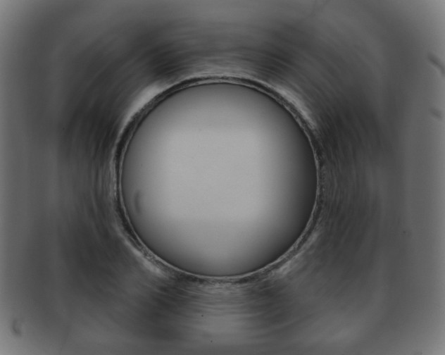 X0000091970982200709061128