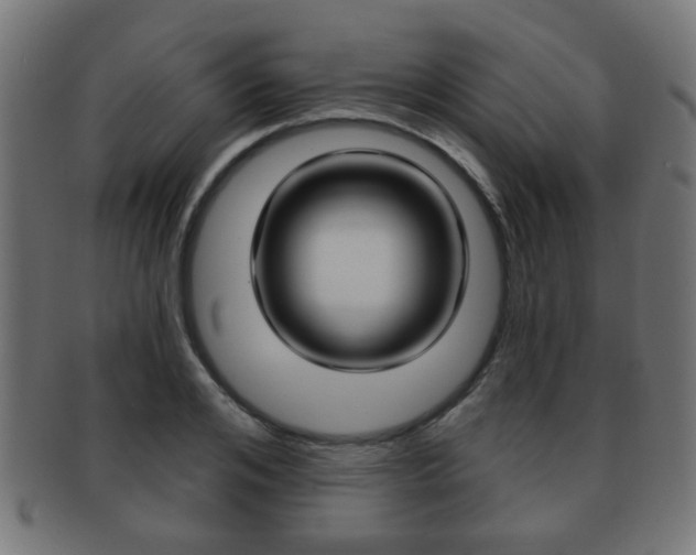 X0000091970984200709061128