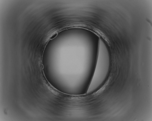 X0000091970985200709061128