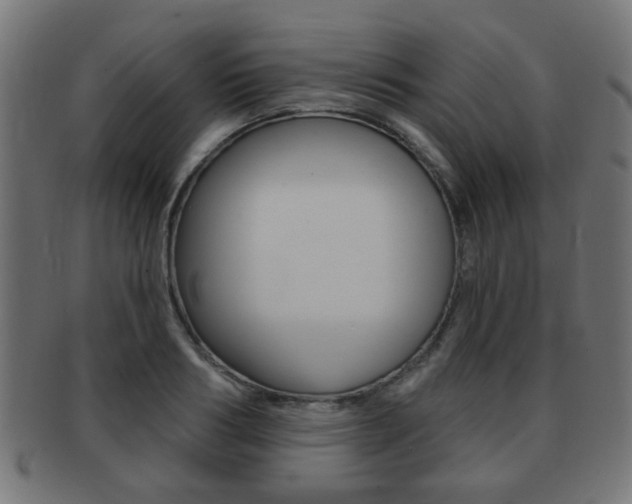 X0000091970986200709061128