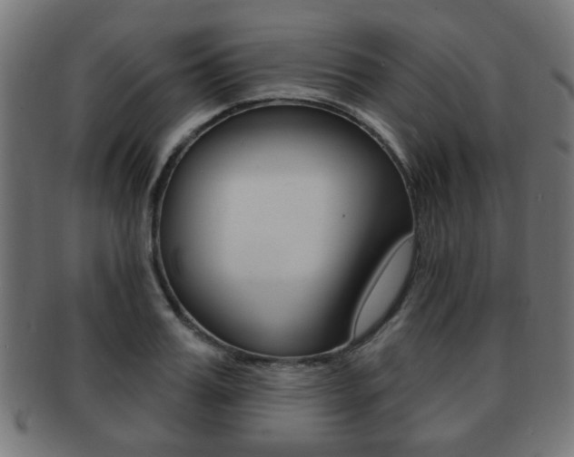 X0000091970987200709061128