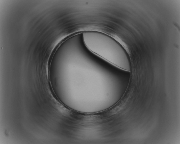 X0000091970988200709061128