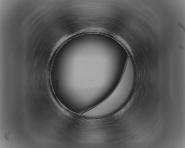X0000091970989200709061128
