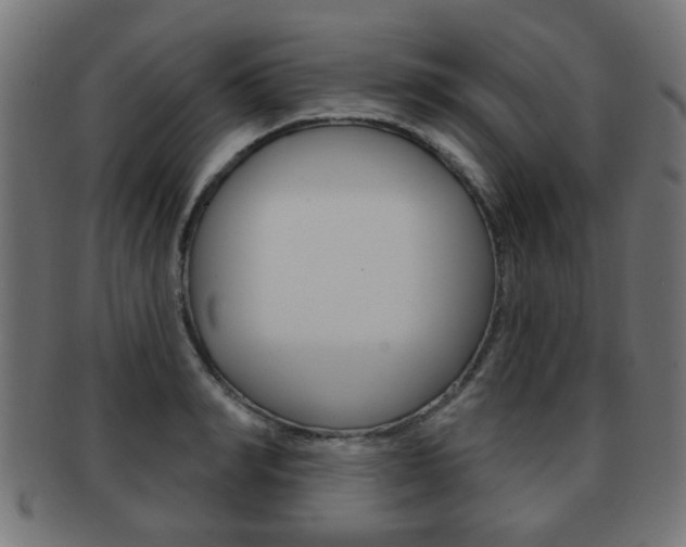 X0000091970990200709061128