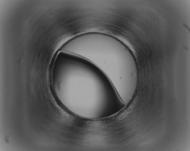 X0000091970991200709061128