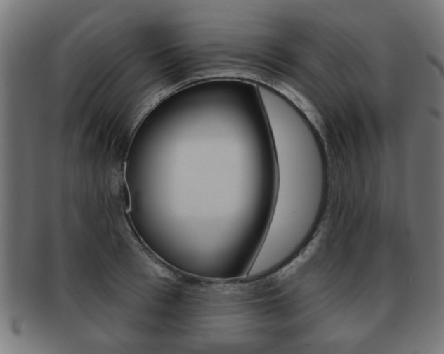 X0000091970993200709061128