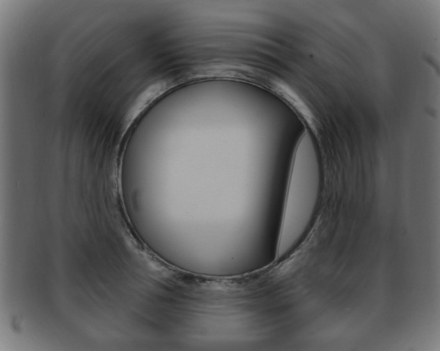 X0000091970994200709061128