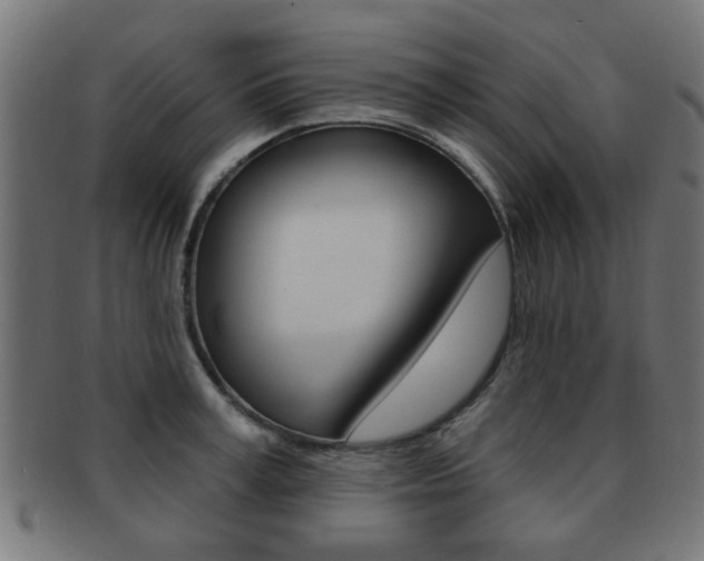 X0000091970995200709061128