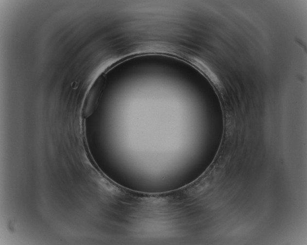 X0000091970996200709061128