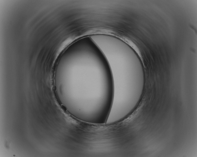X0000091970997200709061128