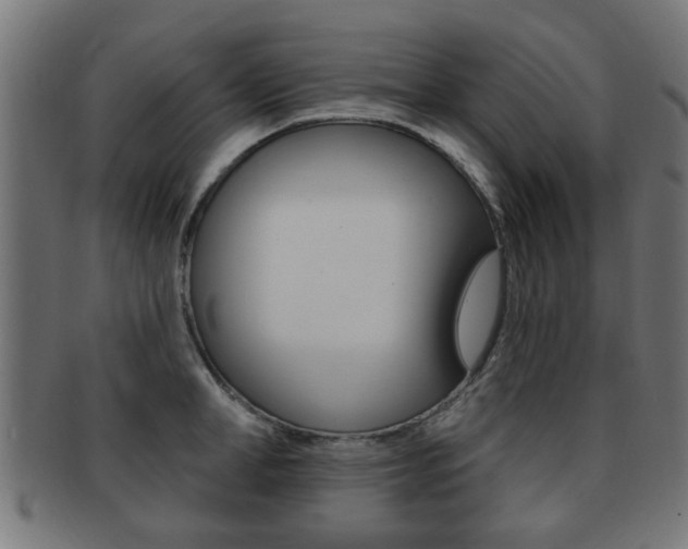X0000091970998200709061128