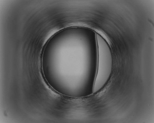 X0000091970999200709061128