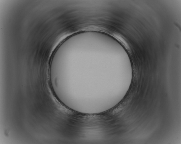 X0000091971000200709061128