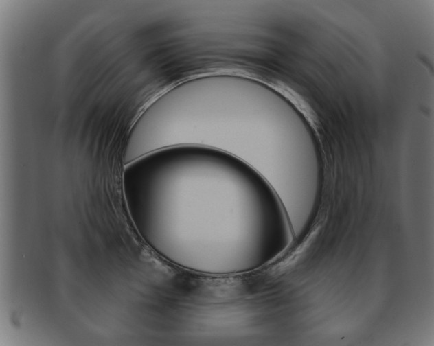 X0000091971001200709061128