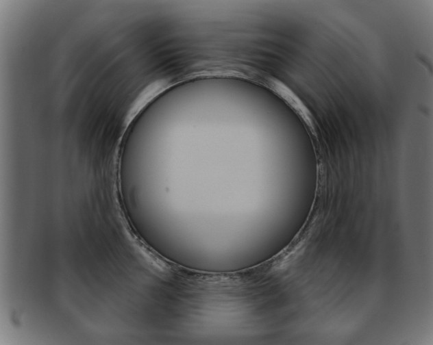 X0000091971002200709061128