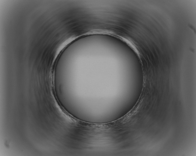 X0000091971003200709061128