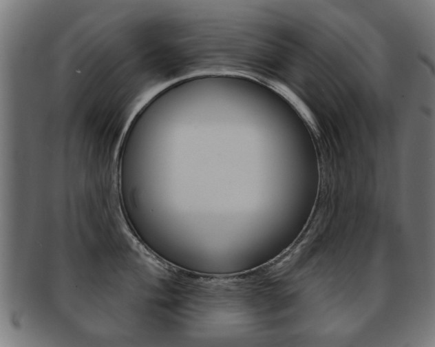 X0000091971004200709061128