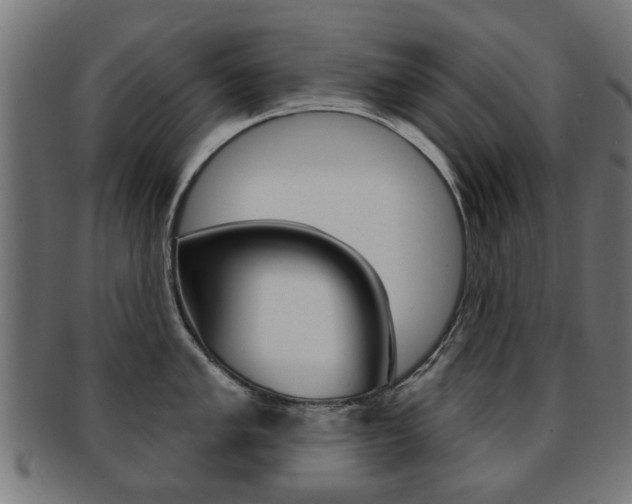 X0000091971005200709061128