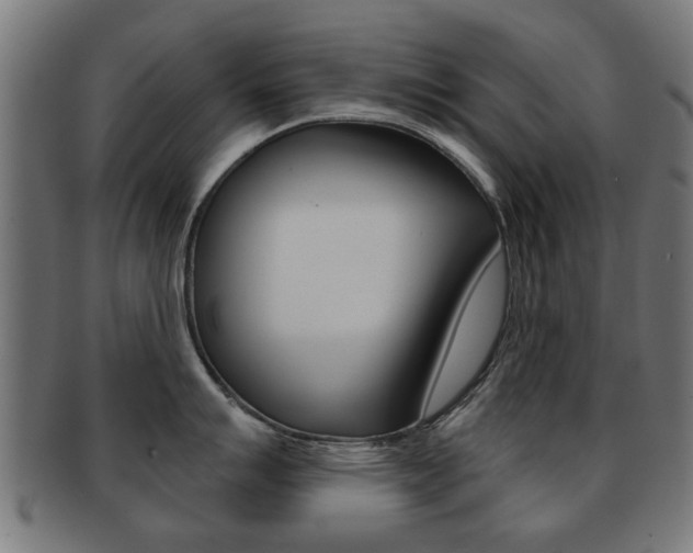 X0000091971007200709061128