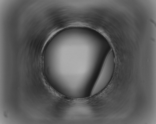 X0000091971008200709061128