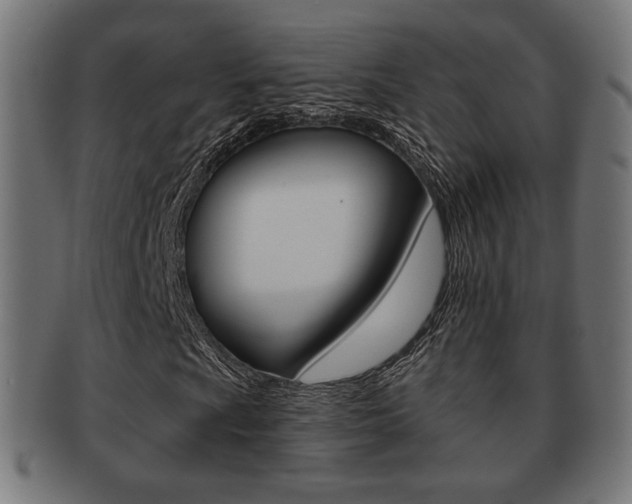 X0000091971009200709061127