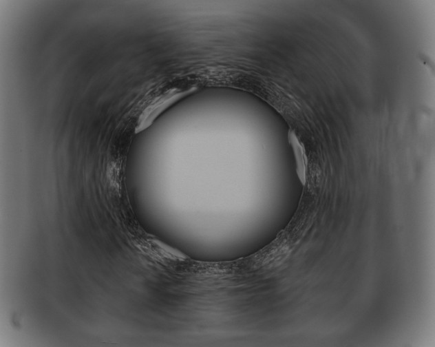 X0000091971010200709061127