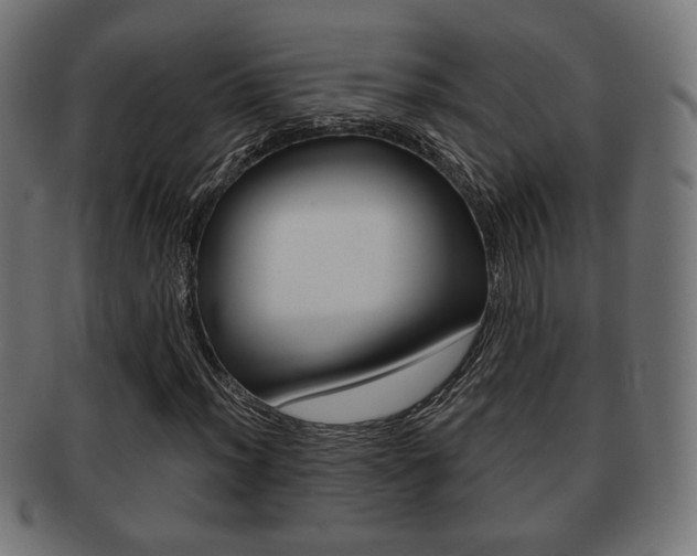 X0000091971012200709061127