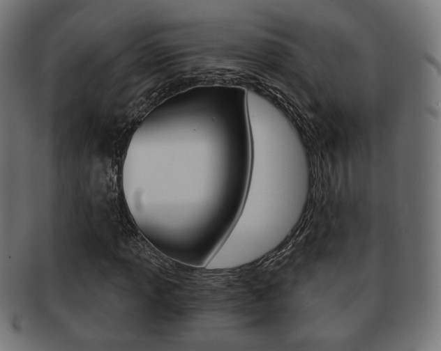 X0000091971013200709061127