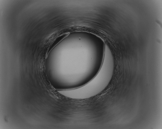 X0000091971014200709061127