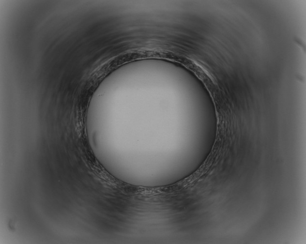 X0000091971015200709061127