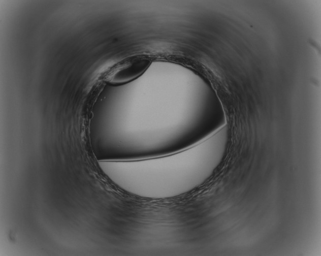 X0000091971016200709061127