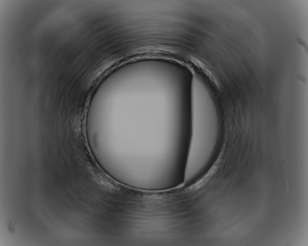 X0000091971017200709061127