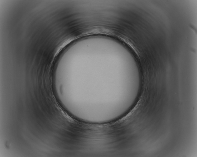 X0000091971018200709061127