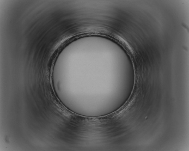X0000091971019200709061127