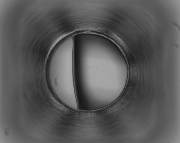 X0000091971020200709061127