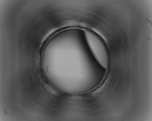 X0000091971021200709061127