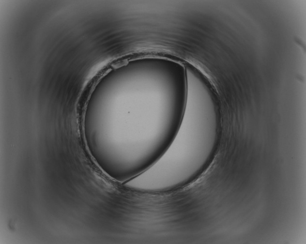 X0000091971022200709061127