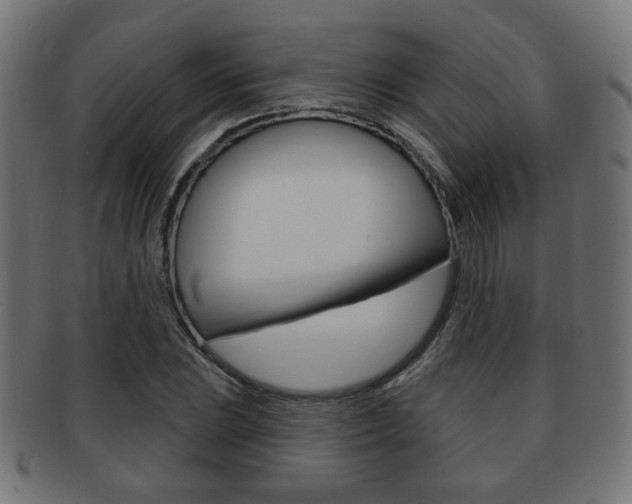 X0000091971023200709061127