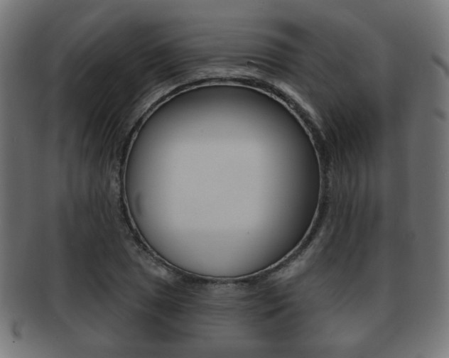X0000091971025200709061127