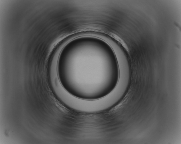X0000091971027200709061127