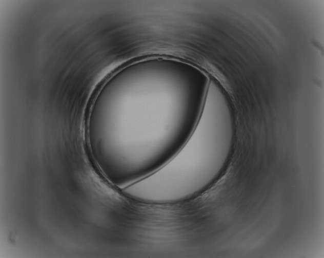 X0000091971028200709061127