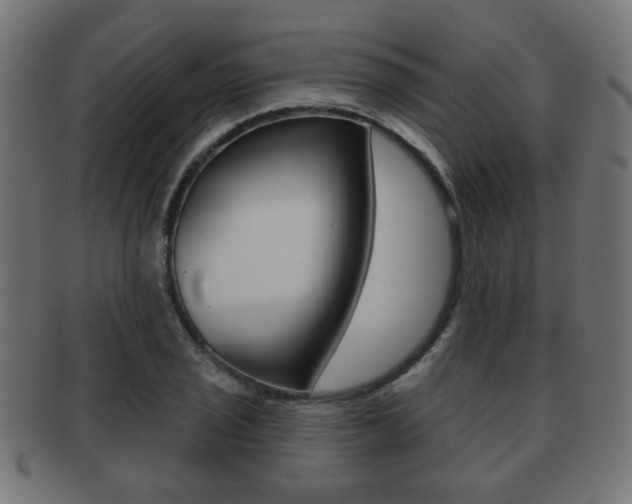 X0000091971029200709061127