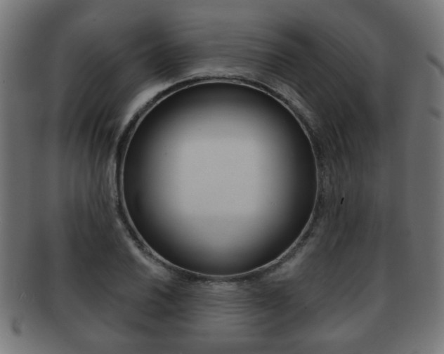 X0000091971030200709061127