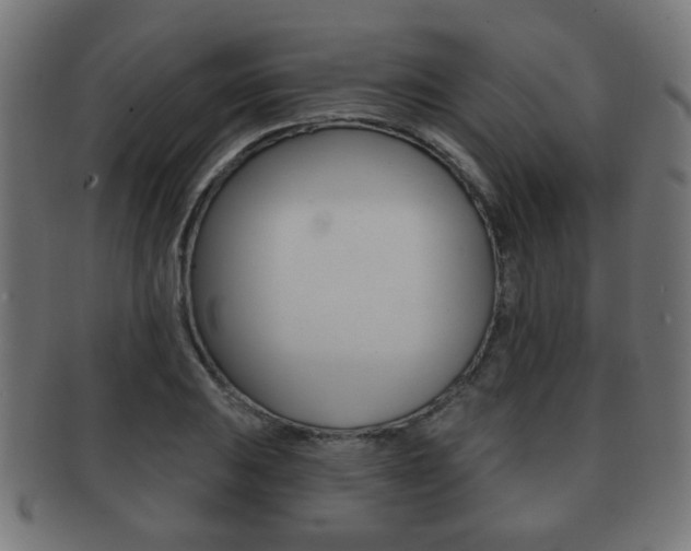 X0000091971031200709061127