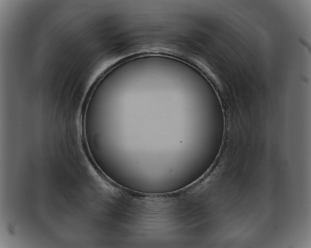 X0000091971032200709061127