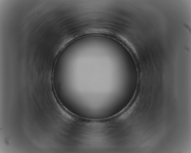 X0000091971033200709061127