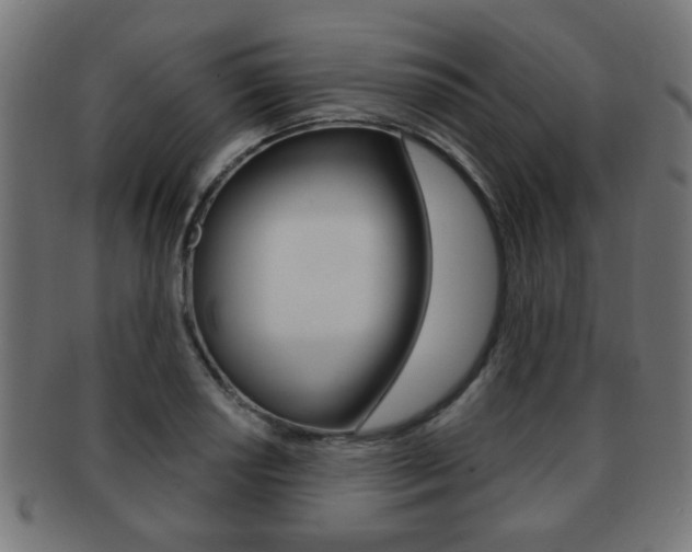 X0000091971034200709061127