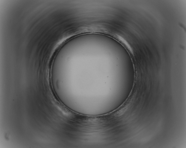 X0000091971035200709061127