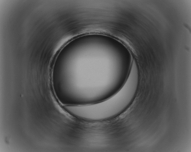 X0000091971038200709061127