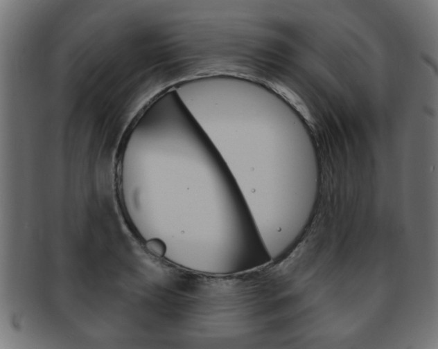X0000091971039200709061127